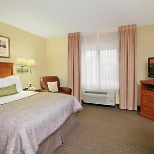 Queen Suite Roll Shower Disability Access or Non-Smoking